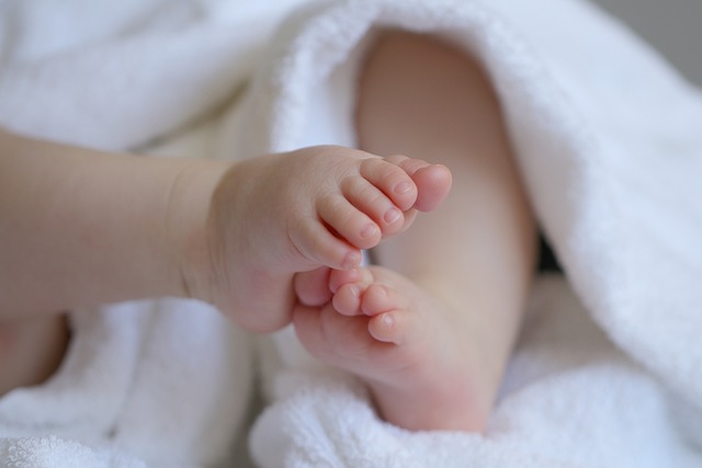 Stimuleer de ontwikkeling van je baby: de beste speelgoed, bewegingsproducten, educatieve en interactieve hulpmiddelen